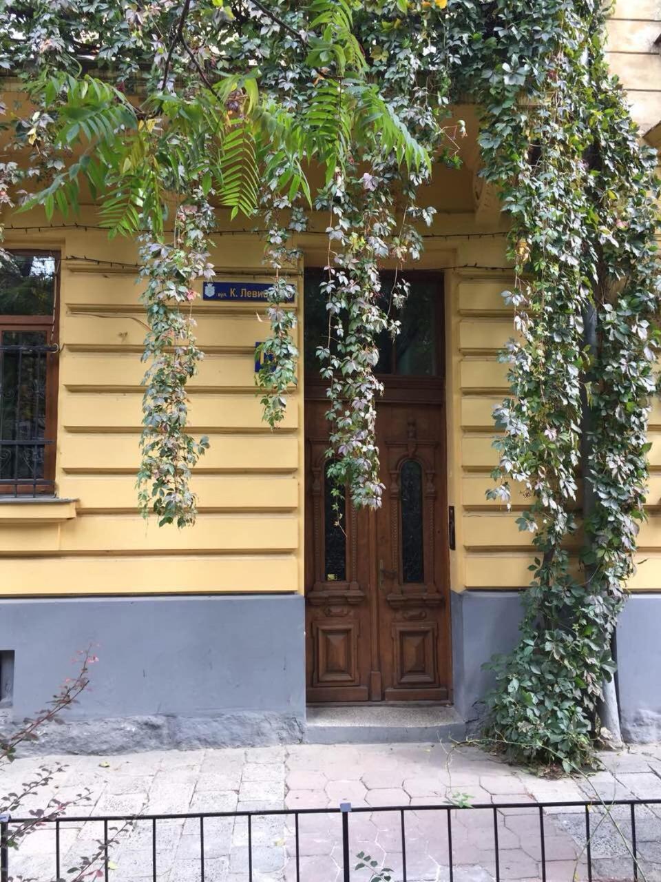 Lux Apartament На Левицького 利沃夫 外观 照片